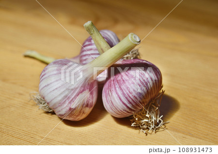 Garlic bulbs 108931473