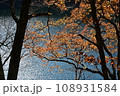 奥日光晩秋紅葉と湖 108931584