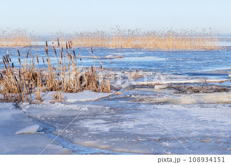 Natural winter landscape with dry reed in white snow and ice Natural winter landscape with dry reed in white snow and ice 108934151