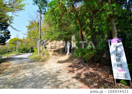 兵庫県宍粟市篠ノ丸城本丸跡の曲輪群と眺望　畝状竪堀や堀切 108934421