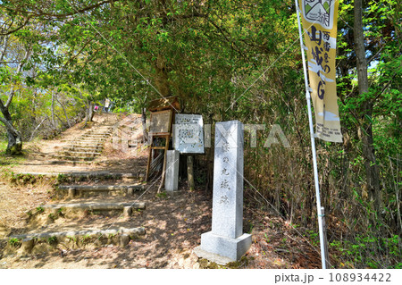 兵庫県宍粟市篠ノ丸城本丸跡の曲輪群と眺望　畝状竪堀や堀切 108934422