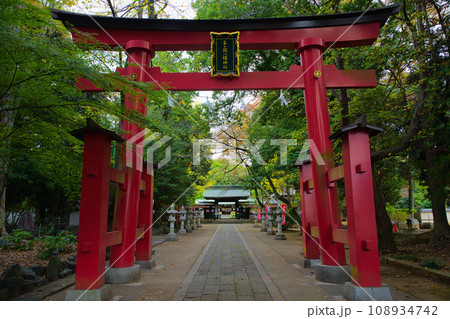 峯ヶ岡八幡神社 鳥居 埼玉県川口市峯 峯ヶ岡八幡神社 鳥居 埼玉県川口市峯 108934742