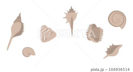 A set of seashells found on the beach. Vector illustration in pastel colors. A set of seashells found on the beach. Vector illustration in pastel colors. 108936514