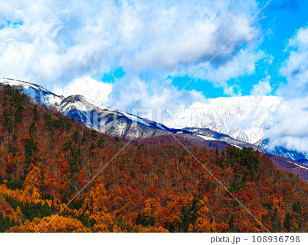 冠雪の北アルプスと紅葉の山 冠雪の北アルプスと紅葉の山 108936798