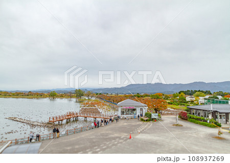 瓢湖水きん公園 108937269