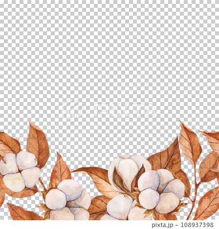 Cotton buds and dry leaves. Watercolor illustration. Seamless square border. Realistic botanical composition. Wedding invitation, Holiday Winter Set, New Year clipart, decorations, Greeting card 108937398