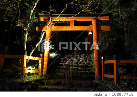 晩秋の貴船神社にて（京都市左京区） 108937419