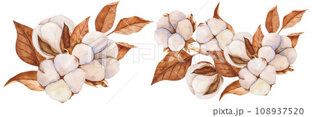 Cotton buds and dry leaves. Watercolor illustration. Isolated cliparts. Realistic botanical composition. Wedding invitation, Holiday Winter Set, New Year clipart, decorations, Greeting card Cotton buds and dry leaves. Watercolor illustration. Isolated cliparts. Realistic botanical composition. Wedding invitation, Holiday Winter Set, New Year clipart, decorations, Greeting card 108937520