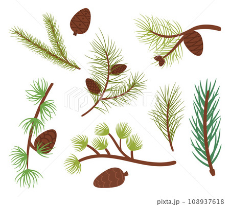 Coniferous Tree Branches, Symbol Of Winter Beauty, Adorned With Green Needles, And Cones, Cartoon Vector Illustration 108937618