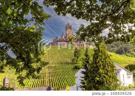 Old medieval stone fortress Reichsburg and vineyards. Cochem, Germany. 108939326