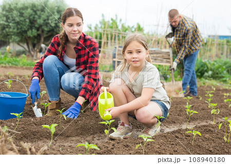 Friendly family working together on backyard garden Friendly family working together on backyard garden 108940180