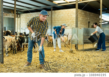 Male farmer holding agricultural tool in goat shed 108940195