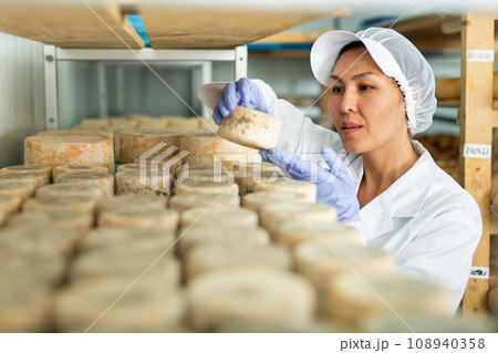 Cheese maker cleaning cheeses in his workshop. Numbers on white pieces of paper are date when cheese was put into ripening chamber Cheese maker cleaning cheeses in his workshop. Numbers on white pieces of paper are date when cheese was put into ripening chamber 108940358