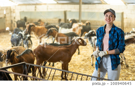 Cheerful female working with hay and straw in barn on goat farm Cheerful female working with hay and straw in barn on goat farm 108940645