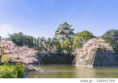 名古屋城と桜とお堀 北側 名城公園側 名古屋城と桜とお堀 北側 名城公園側 108941169