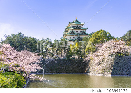 名古屋城と桜とお堀　北側 名城公園側 108941172