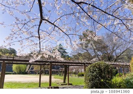 名古屋城と桜　北側 名城公園側から 108941360