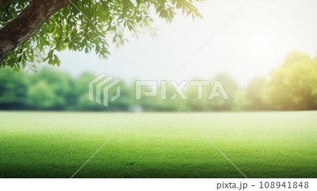 Green lawn and trees background with copyspace....のイラスト素材 [108941848 ...