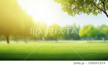 Green lawn and trees background with copyspace....のイラスト素材 [108941934 ...