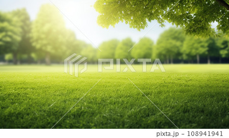Green lawn and trees background with copyspace....のイラスト素材 [108941941 ...