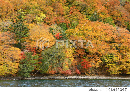 秋の中禅寺湖　紅葉風景 108942047