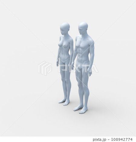 男女の違い 下着あり 体型の比較 perming3DCG イラスト素材 男女の違い 下着あり 体型の比較 perming3DCG イラスト素材 108942774