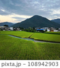 田んぼのある風景 108942903