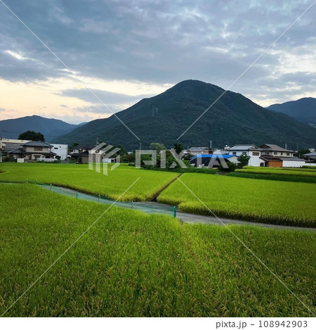田んぼのある風景 田んぼのある風景 108942903