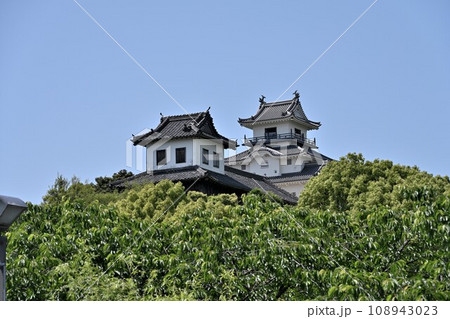 遠江国 掛川城 木造復元天守閣と太鼓櫓 曲輪群 遠江国 掛川城 木造復元天守閣と太鼓櫓 曲輪群 108943023