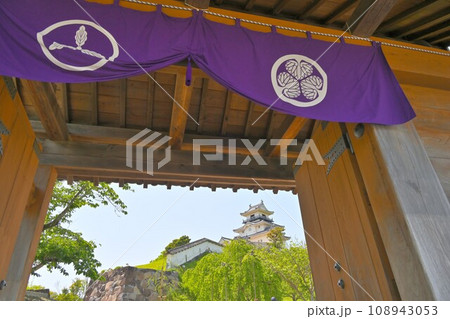 遠江国 掛川城 木造復元天守閣と太鼓櫓 曲輪群 遠江国 掛川城 木造復元天守閣と太鼓櫓 曲輪群 108943053