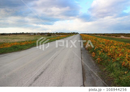 平原の直線道路 平原の直線道路 108944256