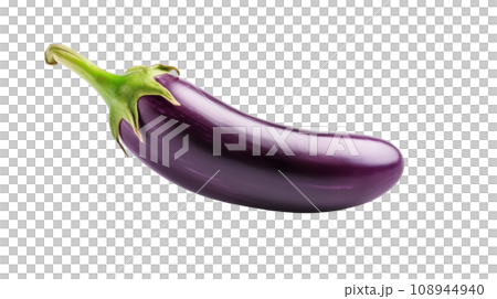 an Eggplant on a transparent an Eggplant on a transparent 108944940