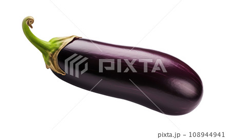 an Eggplant on a transparent an Eggplant on a transparent 108944941