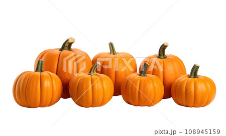 Pumpkins on transparent background Pumpkins on transparent background 108945159