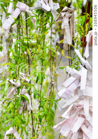 京都 紫雲山頂法寺 六角堂の六角柳（京都市中京区） 108945506