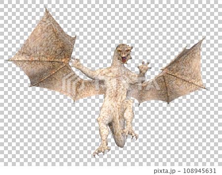 Dragon Dragon 108945631