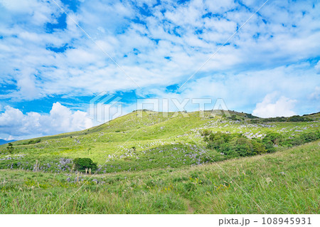 【平尾台】 福岡県北九州市小倉南区平尾台 108945931