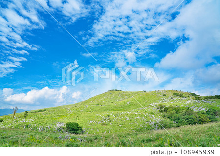 【平尾台】 福岡県北九州市小倉南区平尾台 108945939