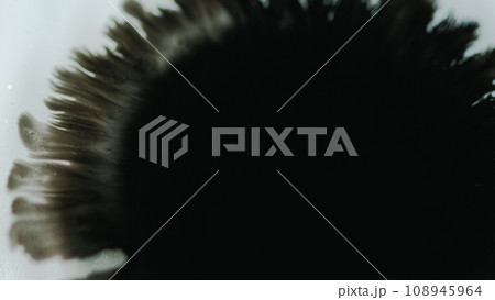 Ink spreading paint drop dark blotch black spatter Ink spreading paint drop dark blotch black spatter 108945964