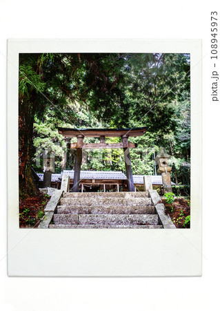 明智　ポラ風 108945973