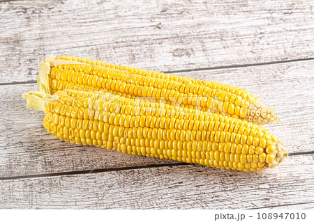 Sweet yellow raw corn cob Sweet yellow raw corn cob 108947010