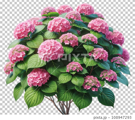 ピンクの紫陽花　AI生成画像 108947293