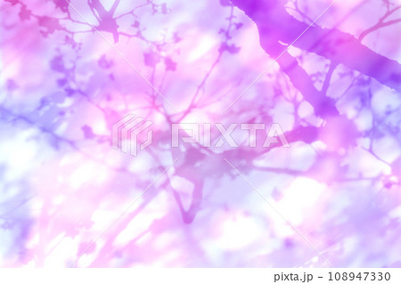 小春日和のやさしい光を浴びて咲く、梅の木シルエット 108947330