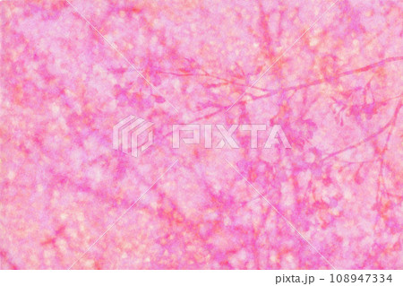 桃花色の和紙に写した、桜の花シルエットアート 桃花色の和紙に写した、桜の花シルエットアート 108947334