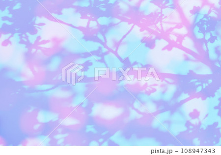 早春の淡い光に揺れる、さくらの花シルエットアート 108947343