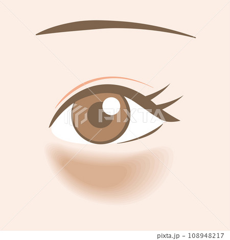 目のクマの種類　茶クマ 108948217