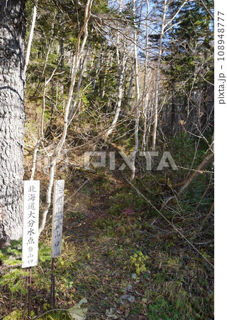 晩秋の北海道大分水点登山口 108948777