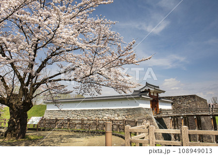 霞城公園 一文字門と桜 霞城公園 一文字門と桜 108949013