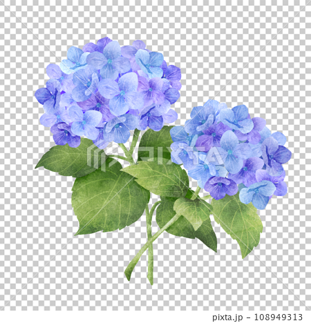 水彩風の青い紫陽花の花束 108949313