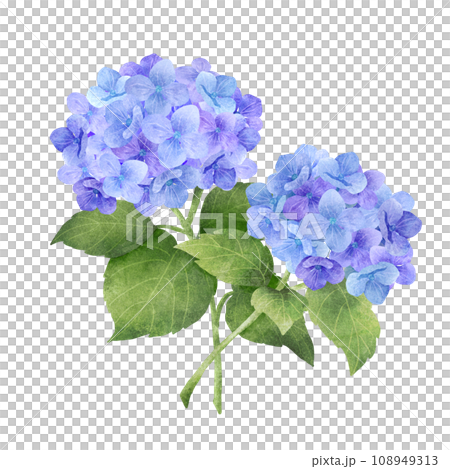 水彩風の青い紫陽花の花束 108949313